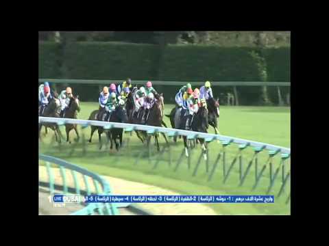 2016.04.17 Satsuki Sho (Japanese 2000 Guineas) - Dee Majesty