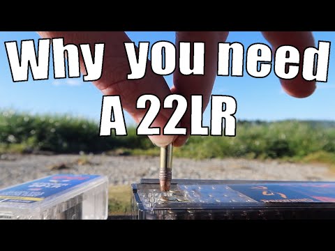 Why you need a firearm in 22 Long Rifle