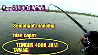 Download lagu Mancing di Muara KERTOJAYAN..!! tak pernah ingkar janji mp3