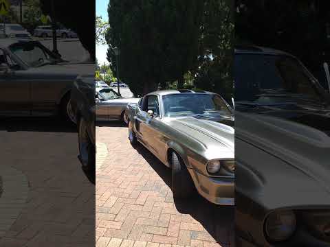 Thumbnail for Mustang GT500 in Australia 2 of them! #mustang #mustang500 #mustangfastback #mustangfanclub