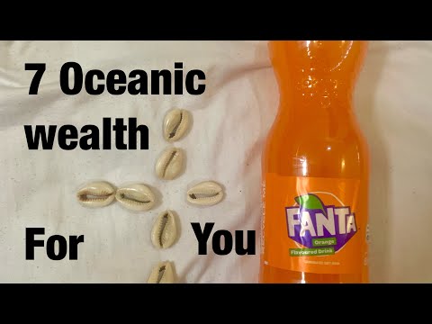 7 Cowrie Shell Rituals for Wealth and Prosperity: The Seer's Guide