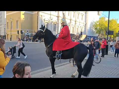 Horse freaks out Kings guards stops horse from running in the road.