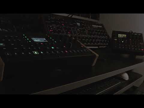 LATE NIGHT JAM - Prophet Rev2, Octatrack and Digakt Host a Grape-Stomping Contest.