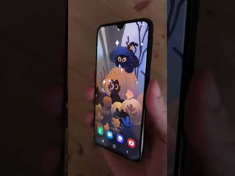 Council of Pumpkins video thumbnail