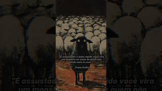 Você descobre mais sobre a pessoa quando diz “não”. #estoicismo