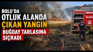 Boluda Otluk Alanda Çıkan Yangın Buğday Tarlasına Sıçradı