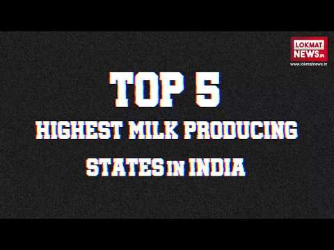 download lagu mp3 mp4 Highest Milk Producing State, download lagu Highest Milk Producing State gratis, unduh video klip Highest Milk Producing State