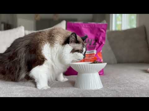 RAWZ LID Rabbit Dry Recipe #catfood #catfoodreview #healthycats