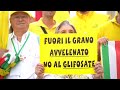 titolo video
