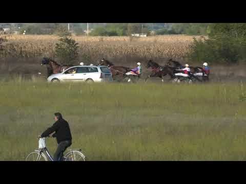 Trka "Oslobođenje Grada Leskovac" 10.10.2020 Sirol Axe - Milan Tasić