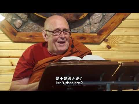 *CHINESE SUBTITLES: 逐步经 MN111 关于禅那以及涅槃之路的*极佳*开示 Anupada Sutta MN 111 *Excellent* Talk on Jhanas