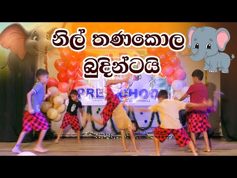 Nil Thanakola Budintai (කැලේ අයිති අලින්ටයි) - Iroshan Madushanka | අලි කතාව pre school dance