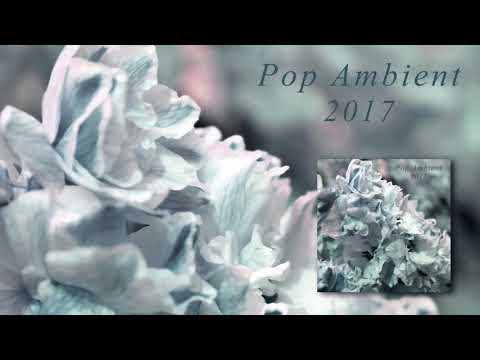 Scanner+Yui Onodera - Locus Solus 'Pop Ambient 2017' Album