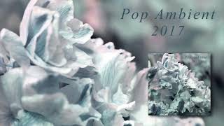 Scanner+Yui Onodera - Locus Solus 'Pop Ambient 2017' Album
