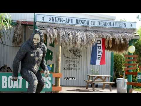 11 bizarre roadside attractions in Florida that are fascinatingly weird