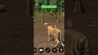 The Tiger New Game 2024 | Animation Game Play 🐅