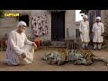 शिरडी वाले साईं बाबा की कहानी Sai Baba Katha Shirdi 