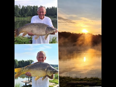 Karpie na sportowo | Zezuj