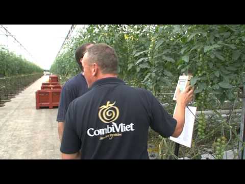 Westland heeft werk 3 - de compilatie