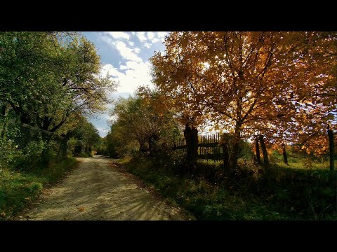 Drumetie Bran Sat Sohodol