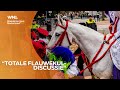 Ophef over paard van Sinterklaas in Amsterdamse gemeenteraad
