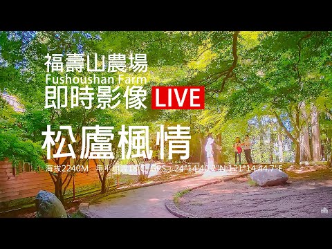 福壽山農場松廬楓情即時影像