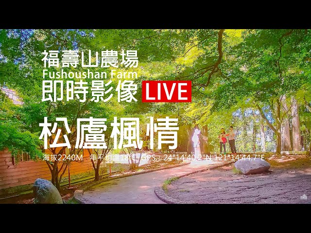 福壽山農場【松廬楓情-海拔2240m】即時影像