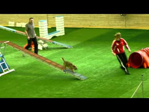 02.03.13 LG Saar Patty mit Fizzi A3