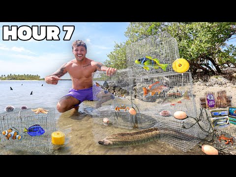 Using FISH TRAPS to Catch SEA CREATURES for My POND!!