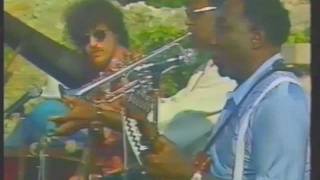 Muddy Waters / Clark Terry: Stormy Monday Blues (1977)