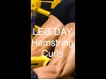 Hit Hamstrings with Lying Leg Curls