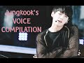 BTS Jungkook's Voice Compilation [PRE DEBUT ...