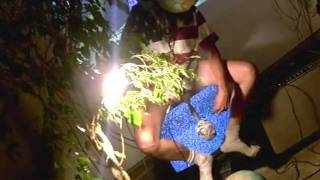 bay area 51 comedy night 082809 - frankie america pt2