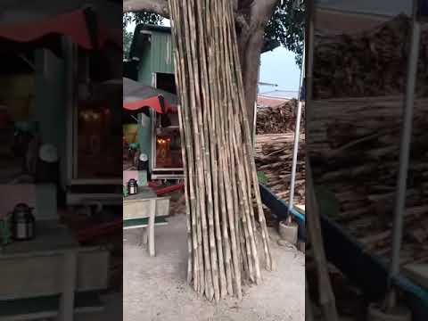 Bán cừ tràm tại TPHCM - Vựa cừ tràm Dũng Đông - 0909 866 929