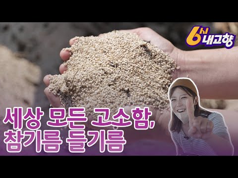 22.08.31. KBS광주 6시내고향(참기름, 들기름)