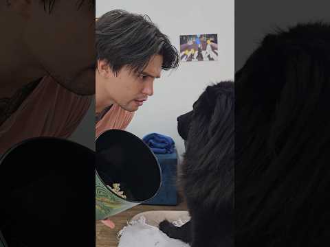 QUEM COMEU A PIPOCA 🍿💜 #humor #funny #shorts