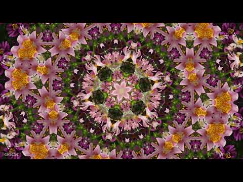 A Flower Kaleidoscope