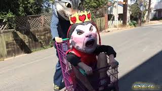 GEIL U.K. - The Party Starts Now (Official)