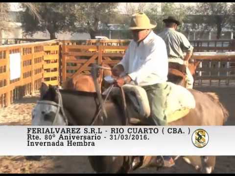 31-03-16 Venta de Hembras - Ferialvarez S.R.L. - Rio Cuarto