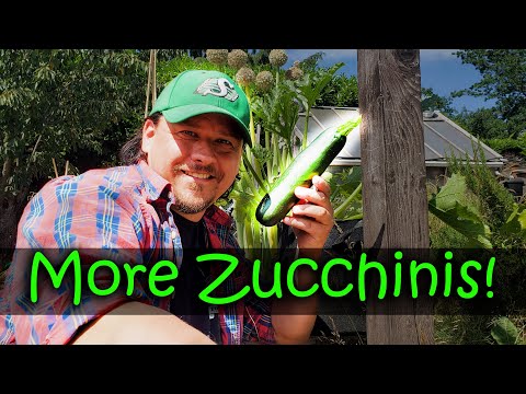 Garden Quickies Volume 1 Episodes 1 to 10