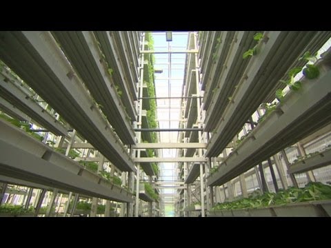 Singapore's Vertical Farming!