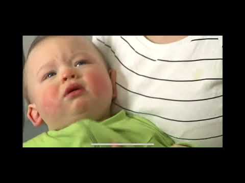 SVT Rapport 2008-11-13