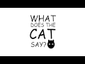N2 the Talking Cat - What Does the Cat Say ...