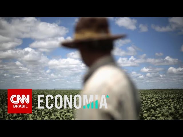 Juros altos prejudicam a produtividade do agro, dizem especialistas à CNN | CNN 360º
