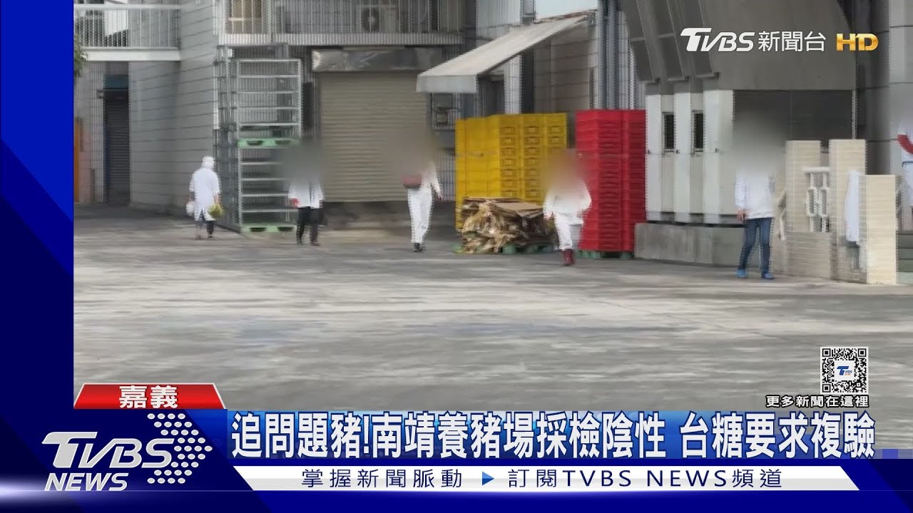 全面追查問題豬!南靖養豬場採檢陰性 台糖要求複驗