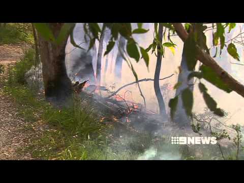 OPERATION NOMAD - 29/10/2013