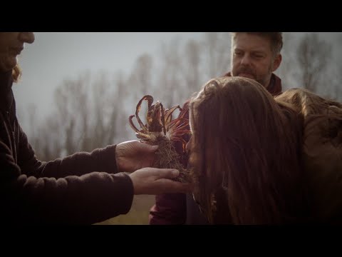 Ep. 13 – Radicchio of Treviso: the winter flower | Ruth & Andrea: an authentic Italian story