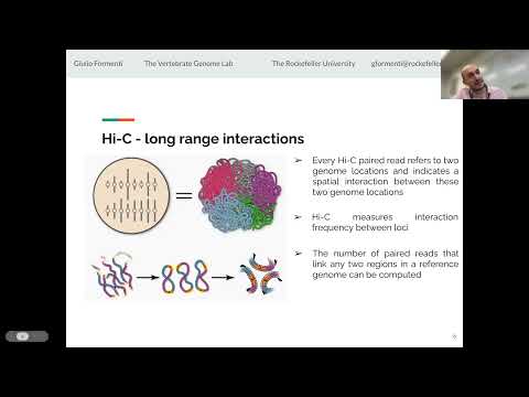 Where Will Genomes Take Us Next: How Chromosome-Scale Assemblies Are Unlocking New Biology