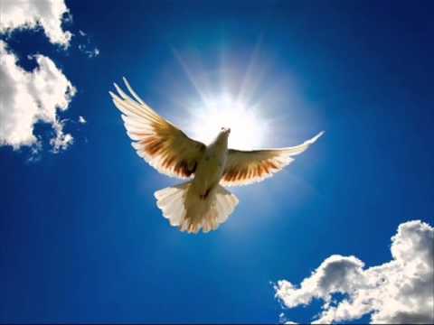 Hal Ketchum - Wings of a Dove