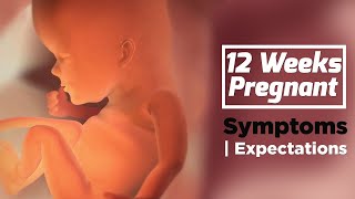 12 Weeks Pregnant | Pregnancy Week By Week Symptoms | The Voice Of Woman